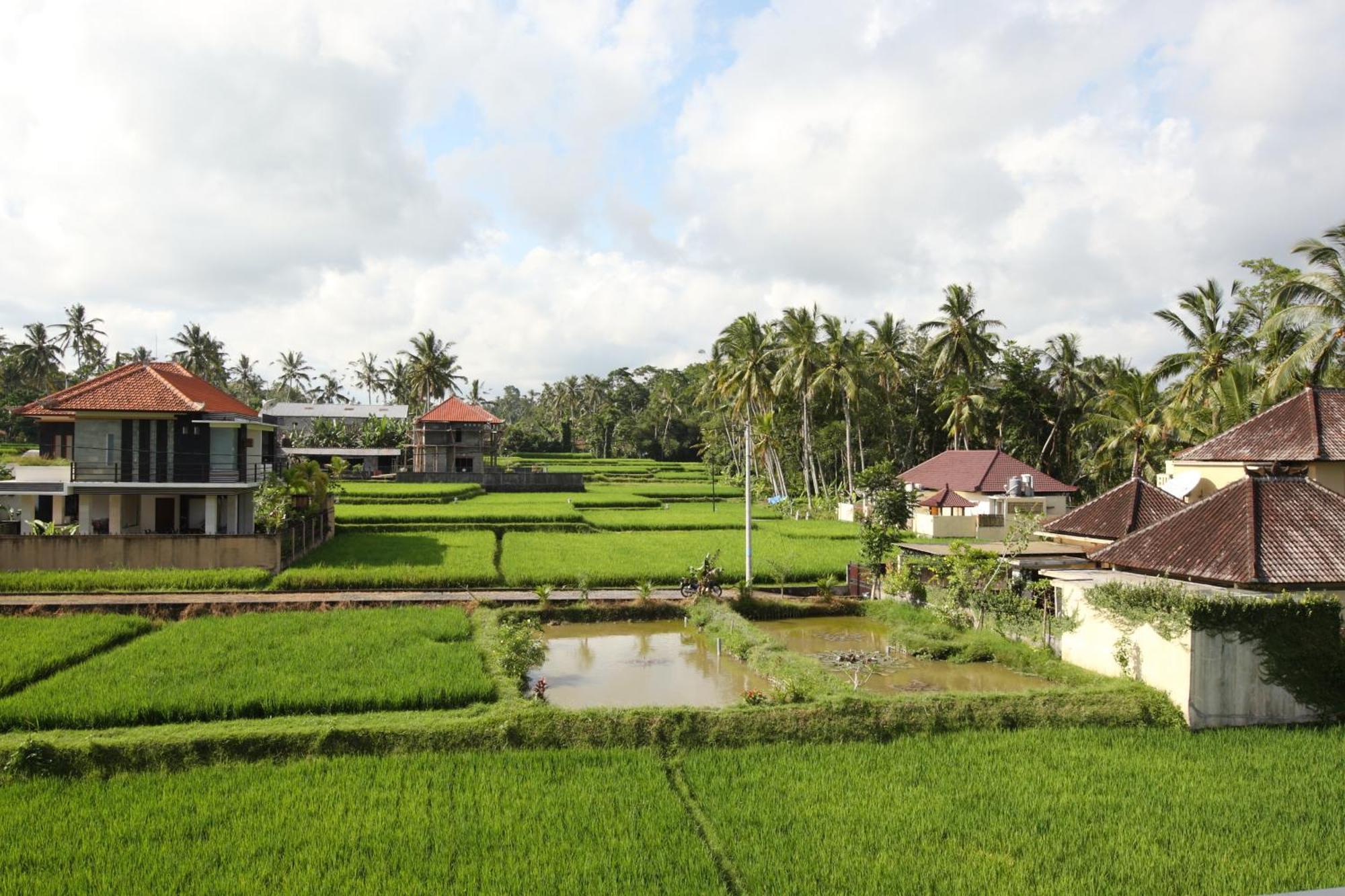 Swarapadi Villa Убуд Экстерьер фото